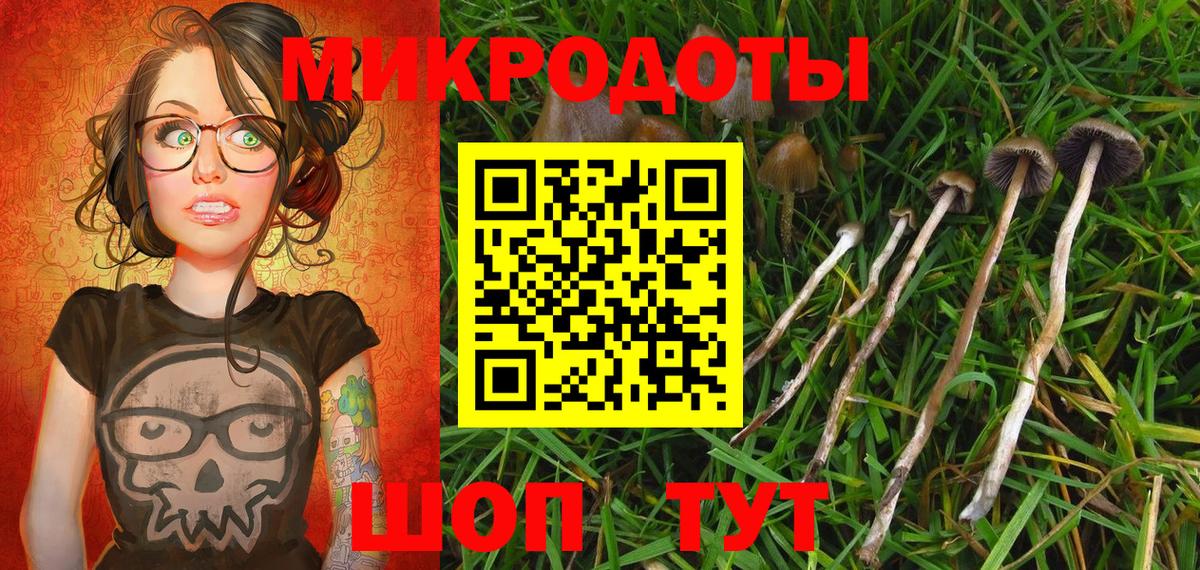 Среднеуральск  Галлюциногенные грибы мицелий  купить  цена  Вход с VPN 